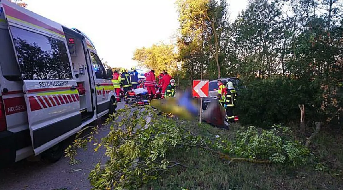 Un român a băgat 15 oameni în spital, când încerca să scape de polițiștii care-l urmăreau pe o șosea din Austria