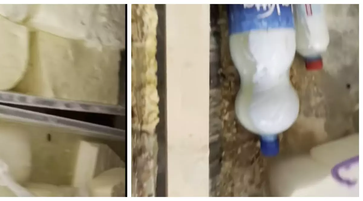 Comercianții din Lugoj, verificați de ANPC. Brânză cu gândaci vândută oamenilor și bijuterii „umflate” la greutate