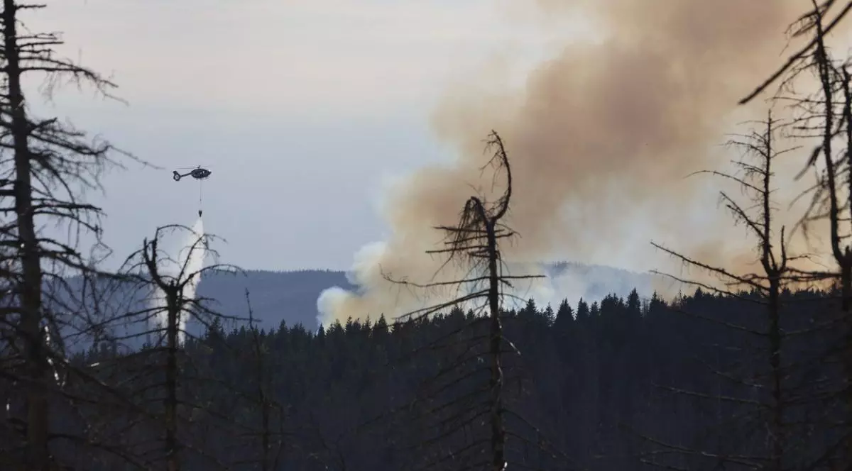 Incendiu de pădure în nordul Germaniei. Zeci de hectare sunt afectate, iar focul se extinde