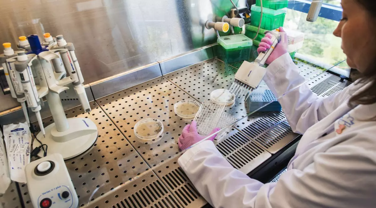 Teste de laborator. Foto: Hepta