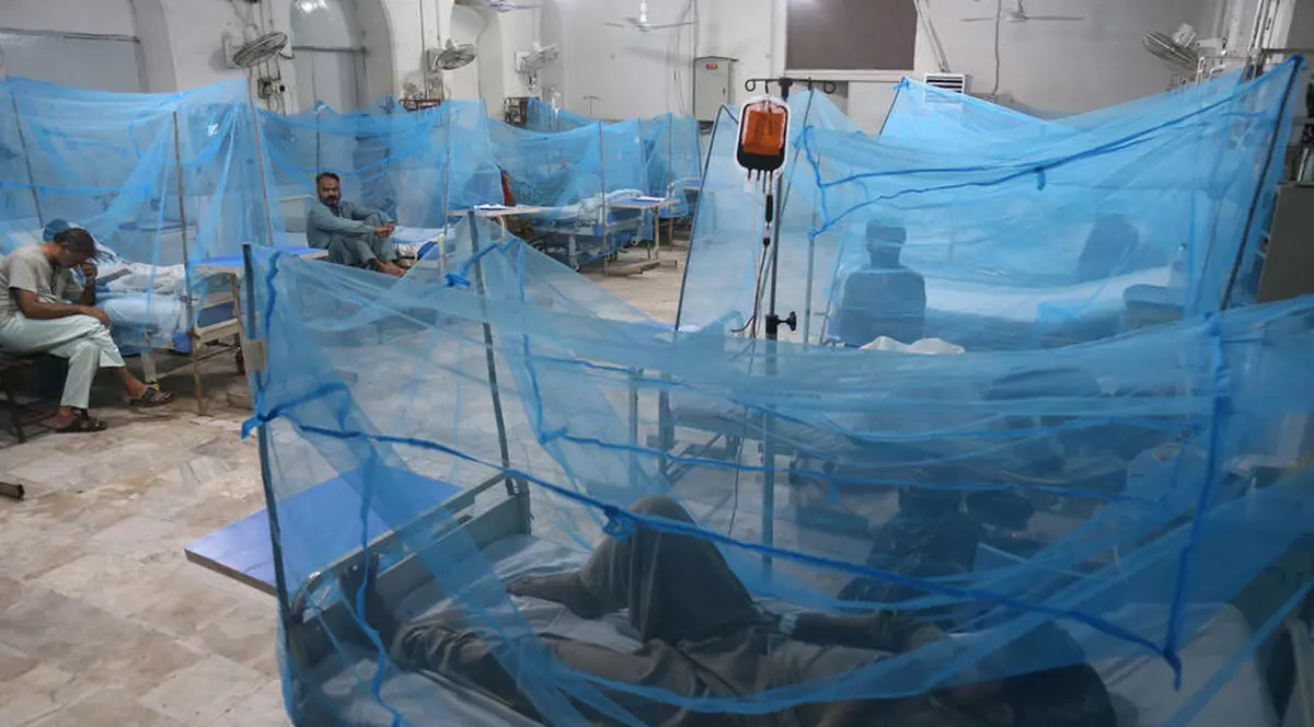 Crește numărul cazurilor de febră dengue în Pakistan, din cauza inundațiilor puternice din ultima perioadă