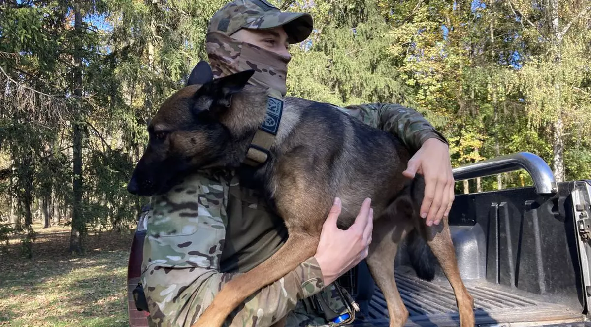 „Un miracol”. Un soldat care a părăsit combinatul Azovstal fără ciobănescul său german a găsit-o pe Jackie după patru luni