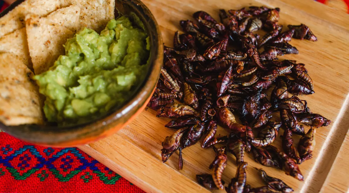 Insecte comestibile - entomofagia