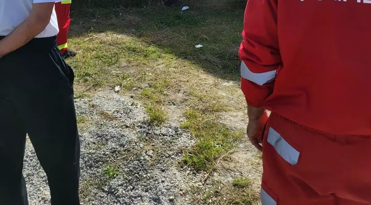Un planor s-a prăbușit într-o curte din Craiova. Era pilotat de o fată de 17 ani aflată la primul zbor