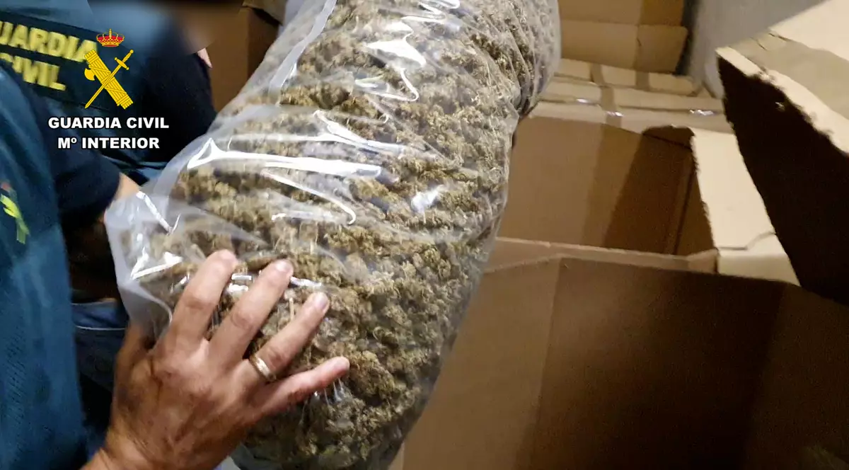 Poliția spaniolă anunță o captură de canabis de record mondial. Valorează 64 de milioane de euro