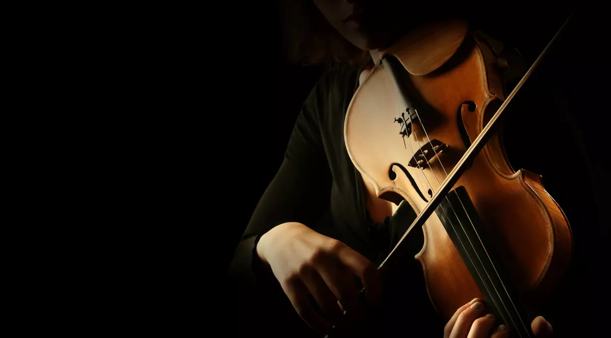 Instrumente muzicale cu coarde 