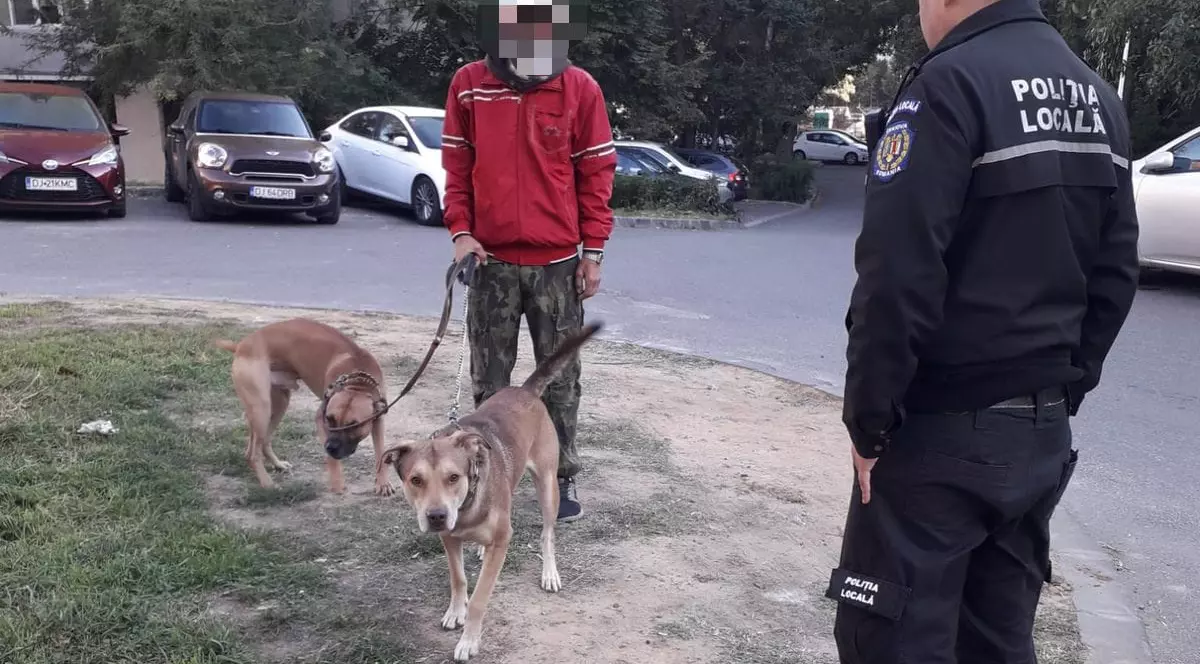 Explozie de amenzi date de Poliţia Locală Craiova anul acesta 