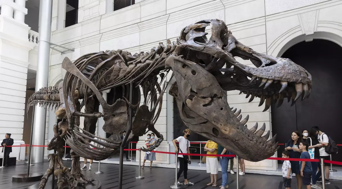 Cum au ajuns scheletele de dinozauri „jucării” pentru miliardari. Licitații la prețuri astronomice și fraude cu oase de T-rex