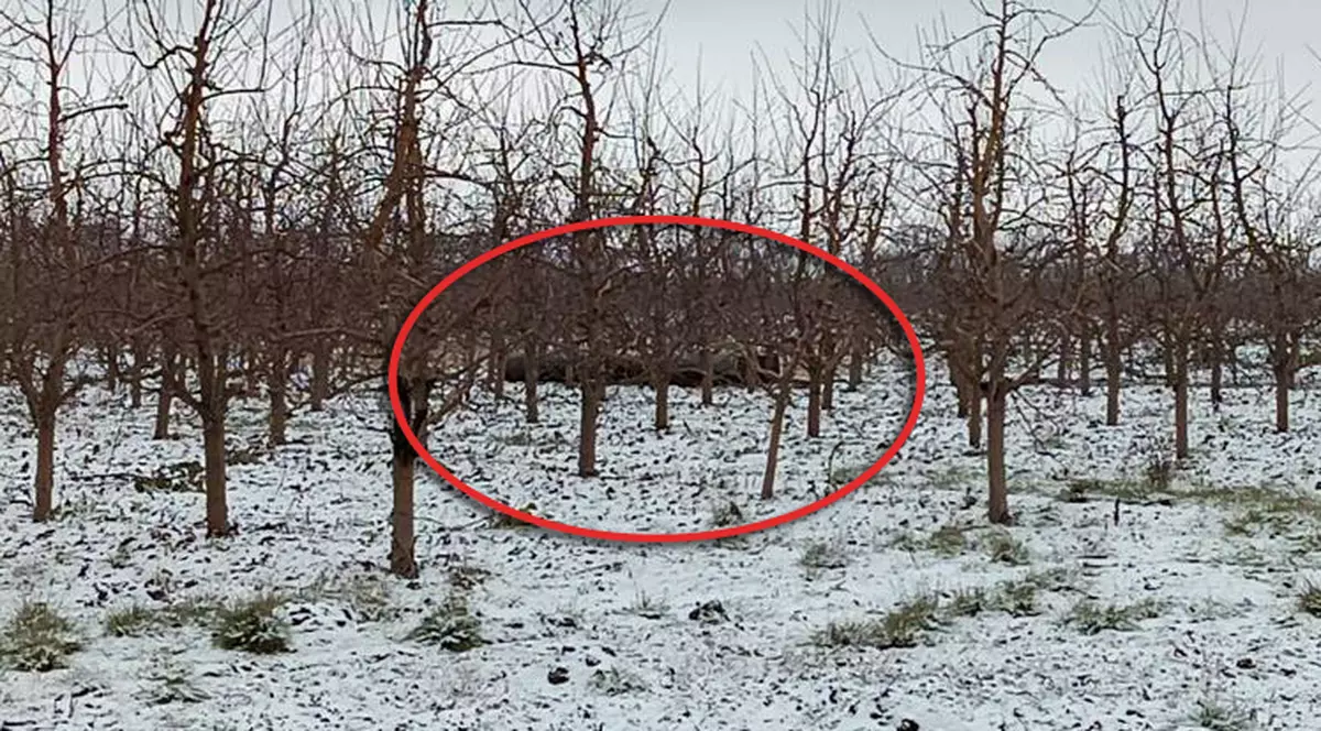 Rachetă găsită într-o livadă din nordul Republicii Moldova. Deocamdată nu sunt informații despre proveniența acesteia