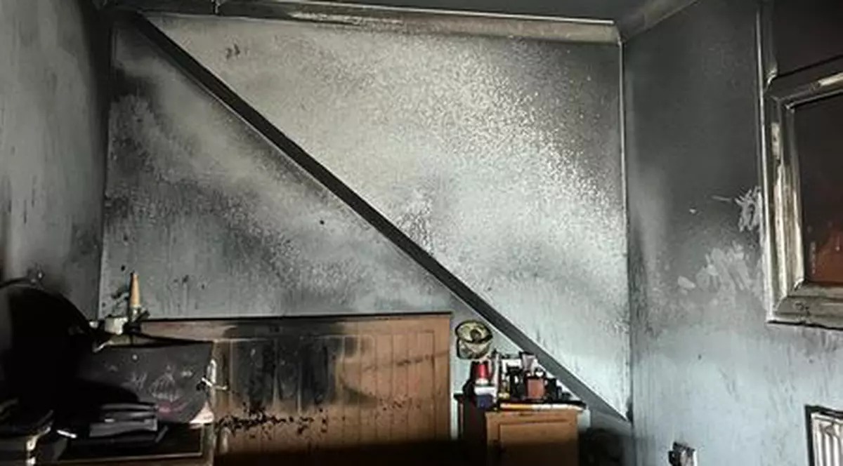 Un câine a dat foc unei case din Anglia în Ajunul Crăciunului. Cum a ajuns animalul de companie să provoace incendiul