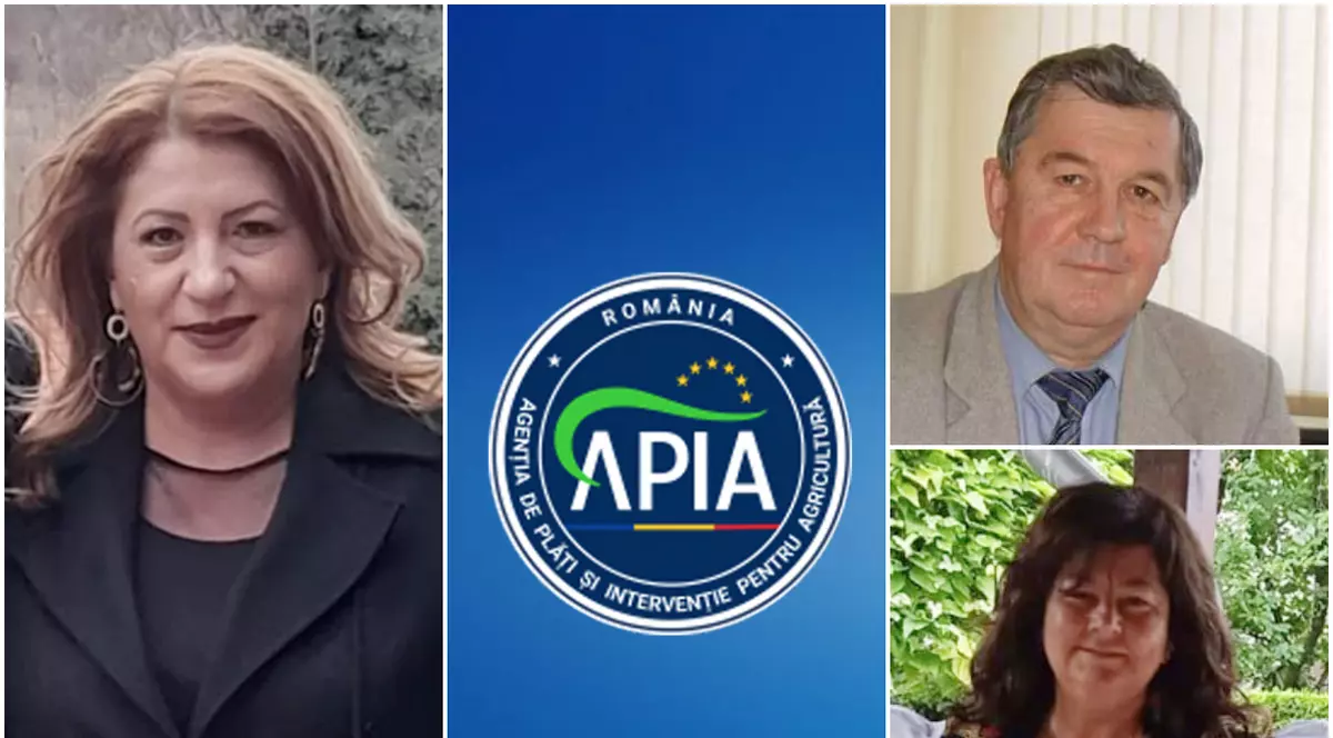 7 ANI DE LUPTĂ. O funcționară și-a reclamat șefii pentru fraudă cu fonduri europene, a fost demisă și repusă în funcție de instanță, sub aceiași șefi