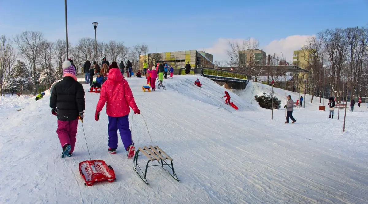 Crăciunul cu zăpadă, o amintire în România? „Precipitațiile vor fi din ce în ce mai mult sub formă de ploaie”
