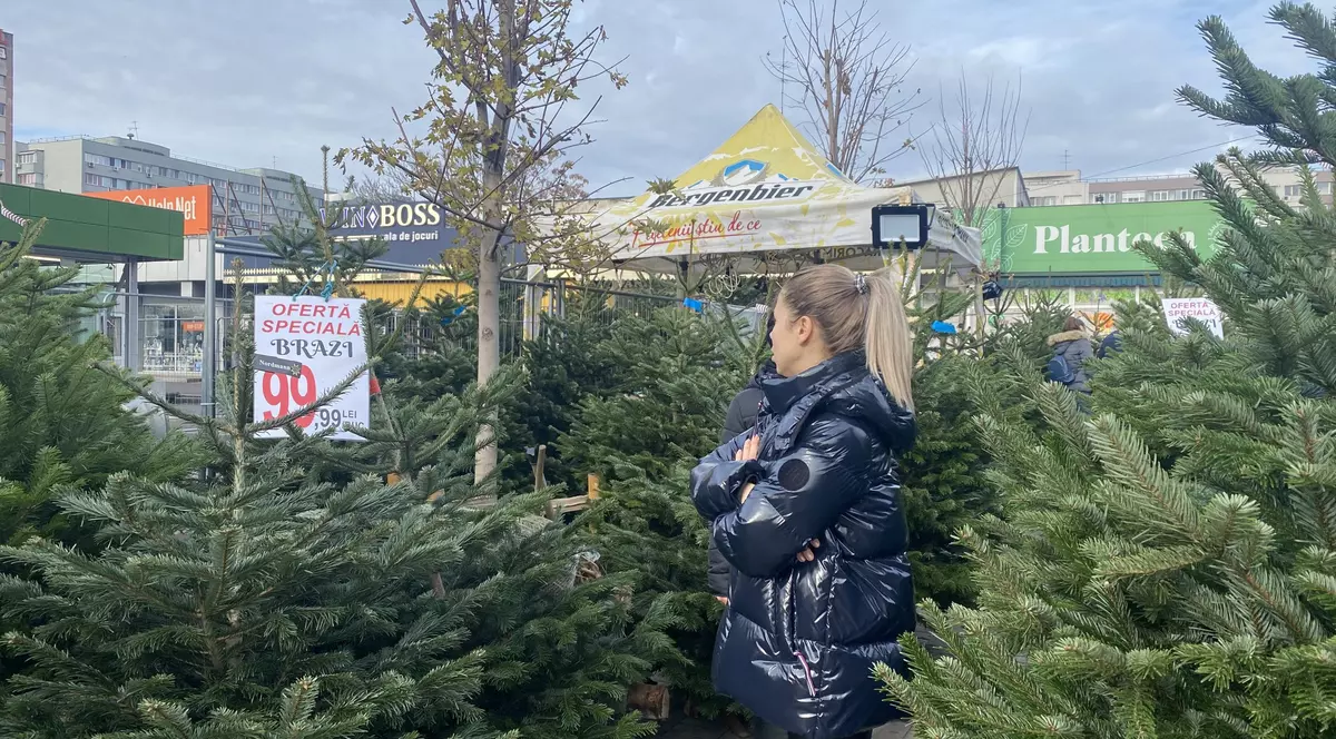 Cât costă brazii de Crăciun? Unde găsești sub 60 de lei și ce conține oferta premium la 4.900 de lei