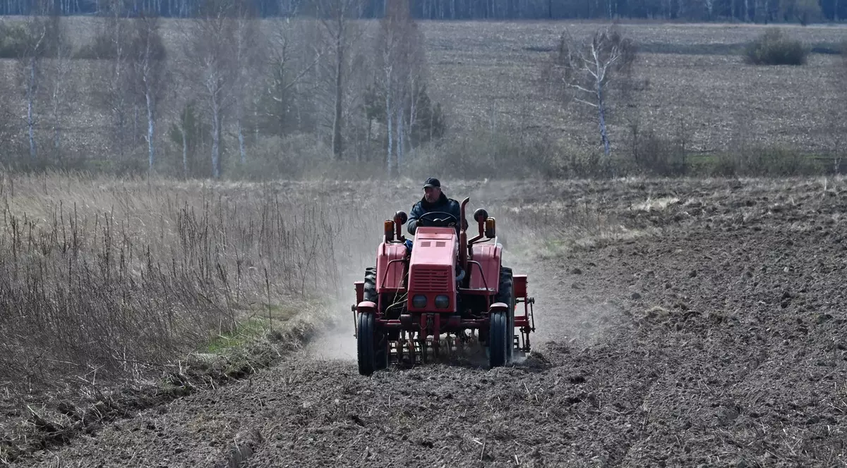 NASA estimează că Rusia a recoltat grâu de un miliard de dolari din teritoriile ucrainene ocupate