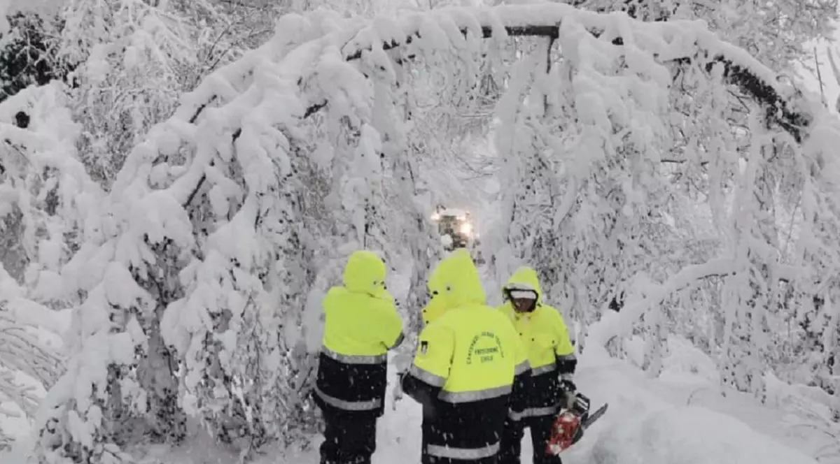 Româncă găsită moartă, înghețată în zăpadă, lângă trei ciobănești mioritici morți și ei, la 5 kilometri de casa în care locuia, în munții Apenini