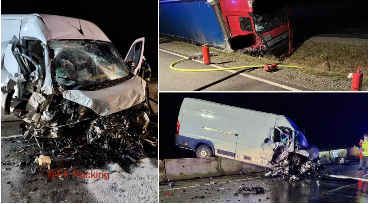 Șoarecii și peștii de acvariu au scăpat cu viață din duba care s-a făcut praf de camionul unui român, în Germania