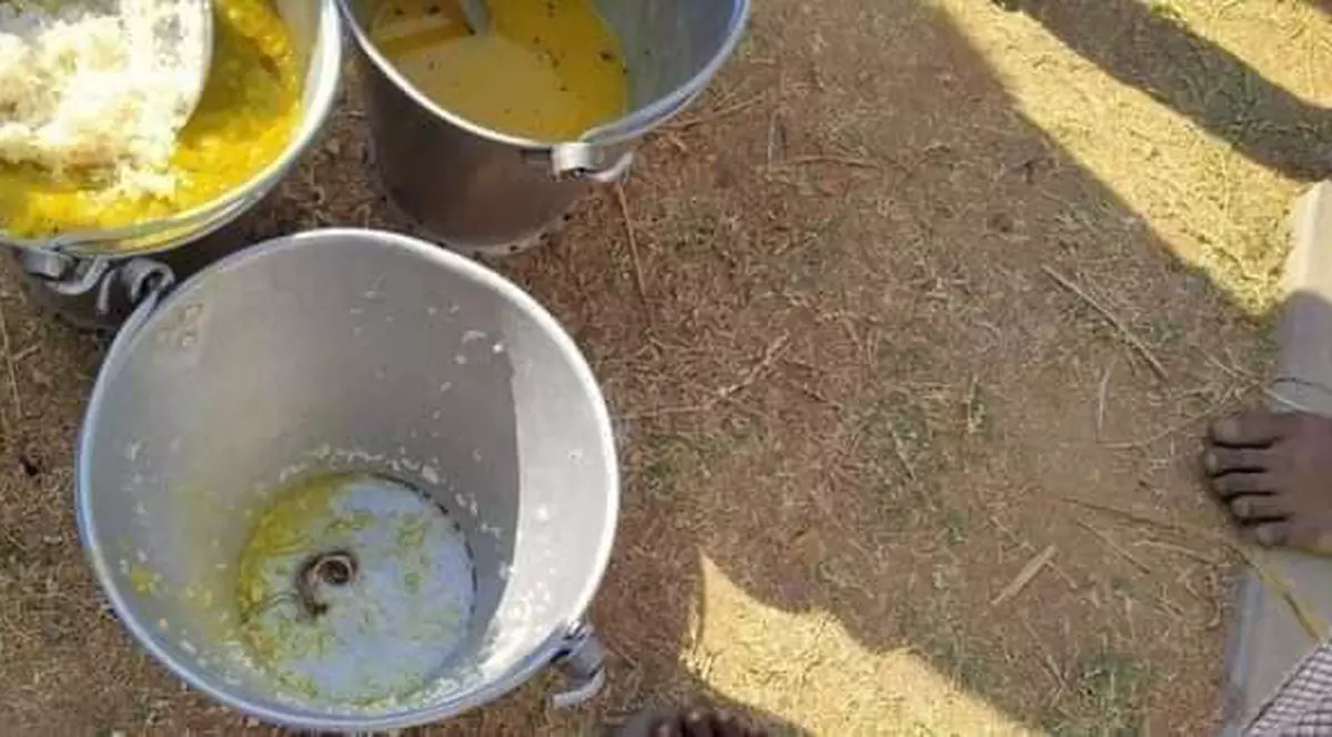 30 de copii de la o școală elementară din India au ajuns la spital, după ce au mâncat linte otrăvită de un șarpe