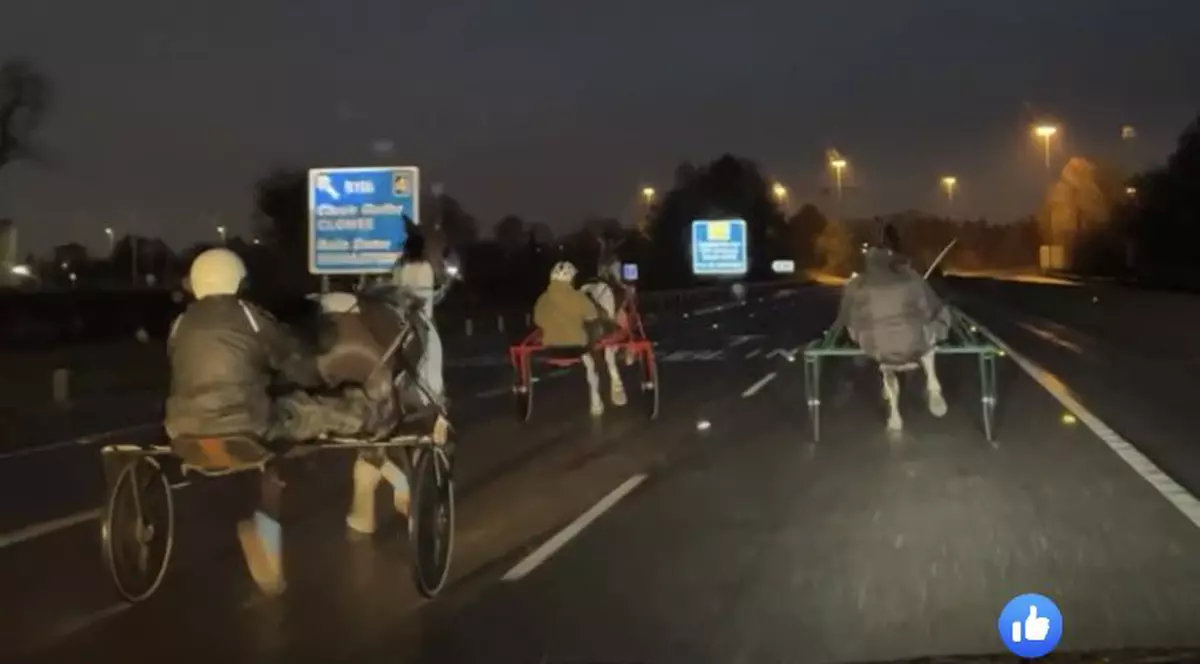 Imagini cu o cursă de cai organizată pe o autostradă din Irlanda, în toiul nopții: „Abuz îngrozitor”