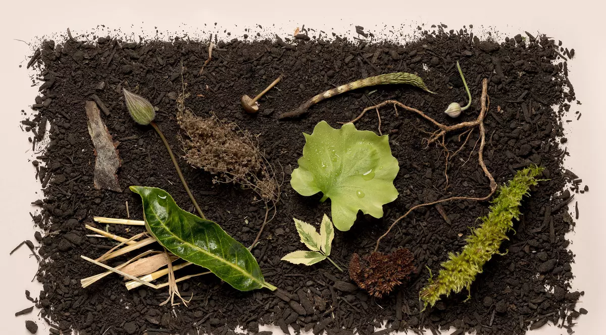 „Înmormântare ecologică”. Statul american New York a aprobat transformarea după deces a corpului uman în compost organic