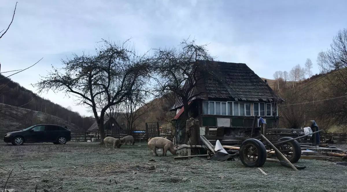 Un primar și familia lui încasează ajutoarele sociale pentru oamenii săraci din sat „de care au grijă”. Ce bani primesc și din terenuri