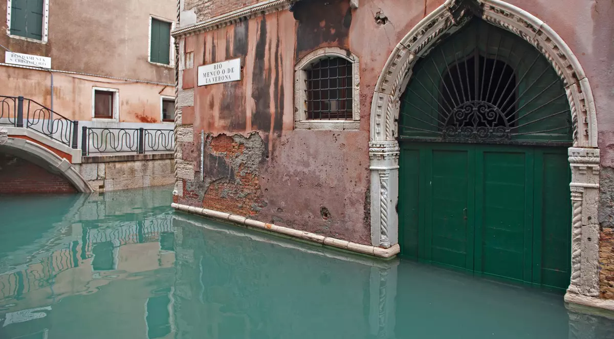 Un lup a fost salvat în Verona după ce rămăsese blocat într-un canal