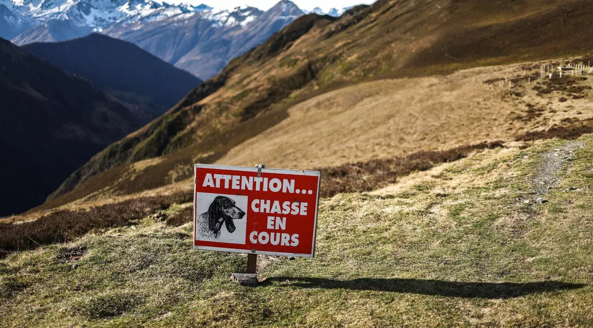 Franța va interzice vânătoarea sub influența alcoolului sau a drogurilor