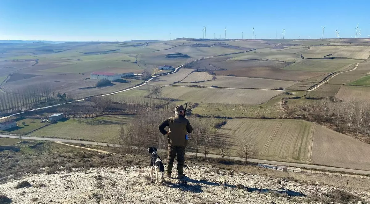 Un câine și-a împușcat mortal stăpânul. Unde a avut loc straniul accident de vânătoare