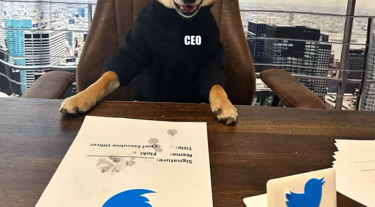 Elon Musk și-a pus câinele în funcția de director al companiei Twitter. „Este super cu cifrele”