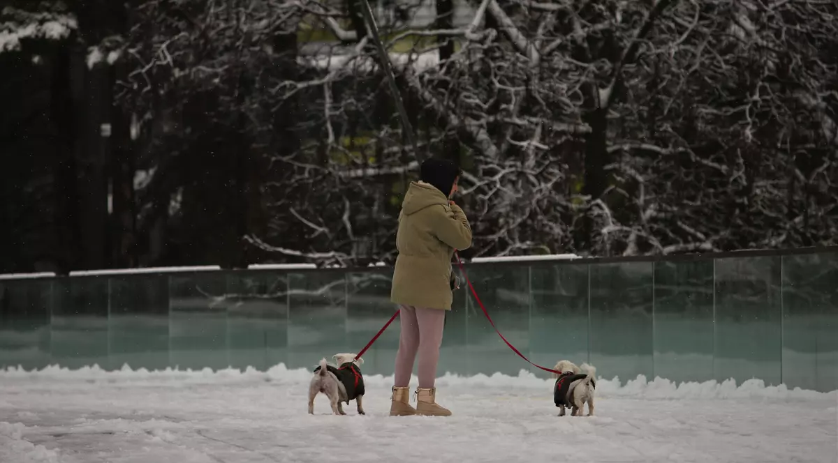 Vremea de Crăciun, în fiecare regiune. Meteorologii au actualizat prognoza, unde sunt anunțate ploi și ninsori