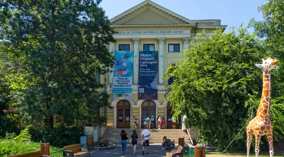 Muzee de vizitat în București. Program și cât costă accesul 