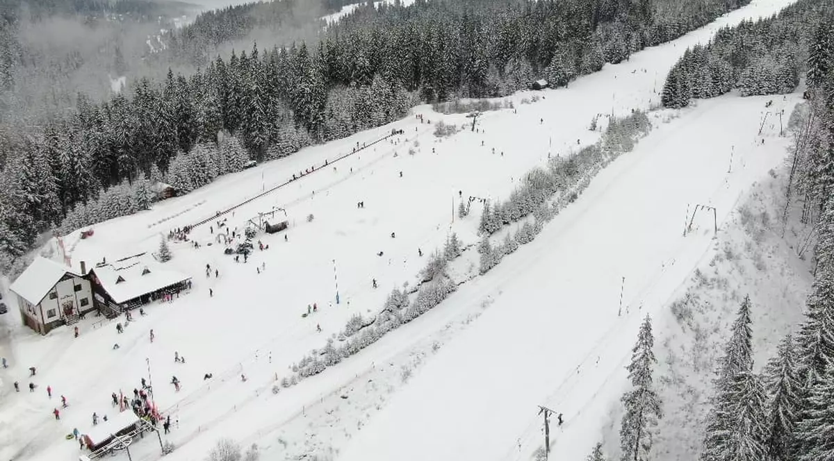 O ursoaică și puiul ei au apărut pe pârtia Havas-Bucin. A fost transmis mesaj RO-ALERT