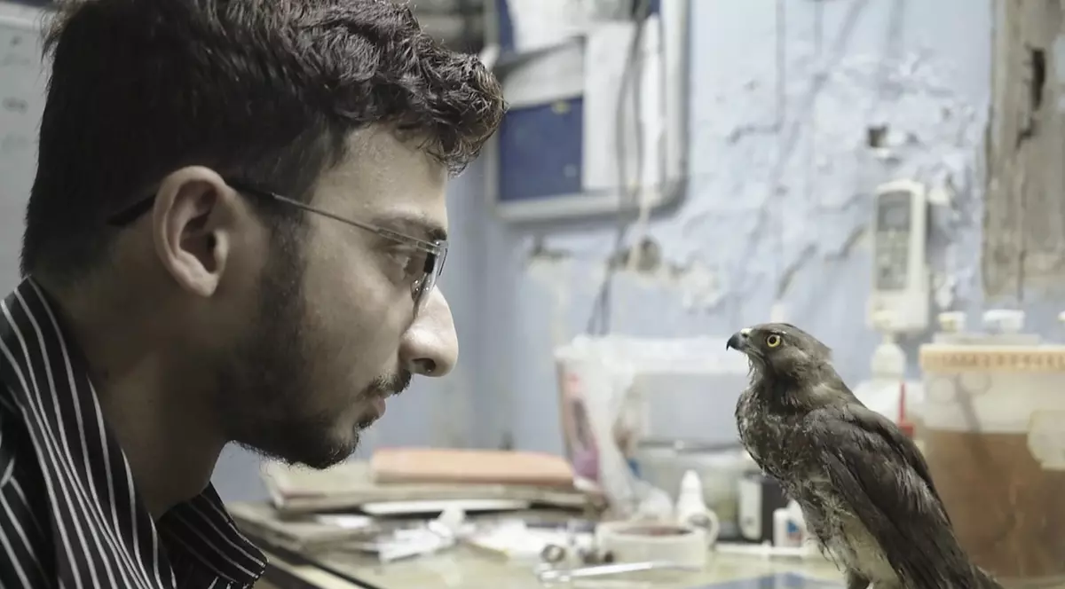 Un film de senzație al anului trecut se vede și în România. Despre gesturi care ne arată că nu e totul pierdut