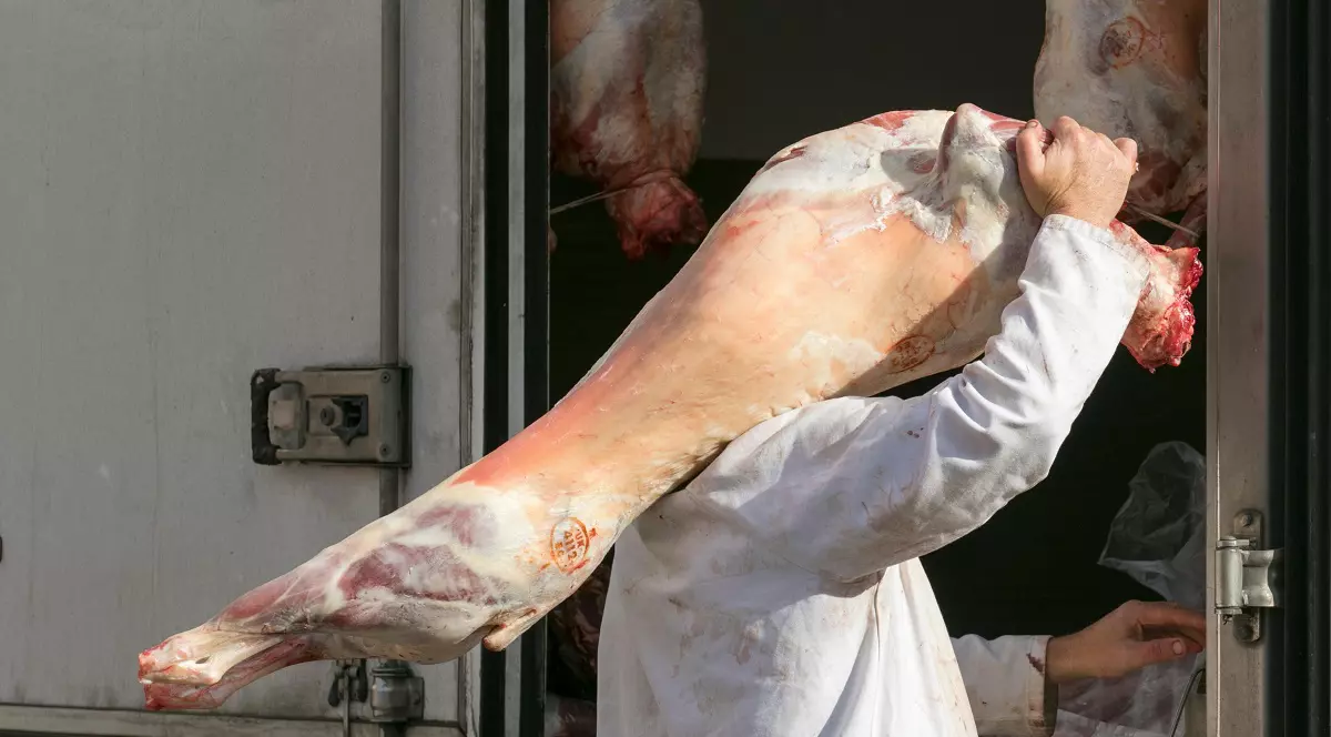 Un șofer român de TIR a furat tone de carcase de porc pe care le transporta cu camionul de la un abator din Belgia