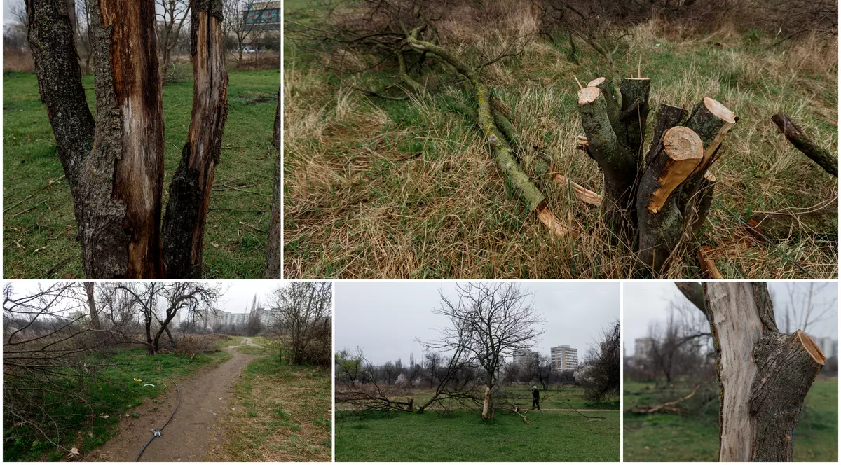 The Park Massacre. How a community fights to save 12 hectares of green space lost by the municipality. "Don’t we have enough concrete?"