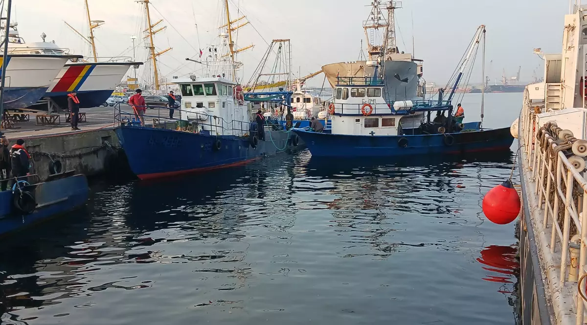 Trei nave bulgărești, prinse la pescuit ilegal în apele românești de la Marea Neagră. Calcan şi rechin, găsiți la bord