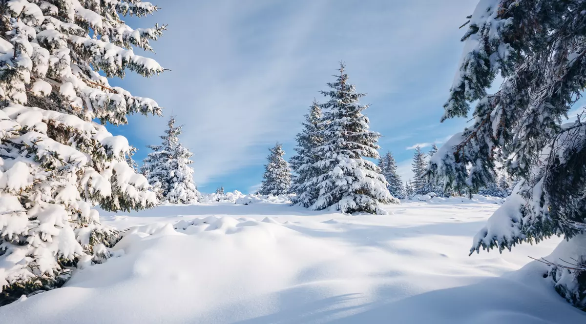 De ce este zapada alba