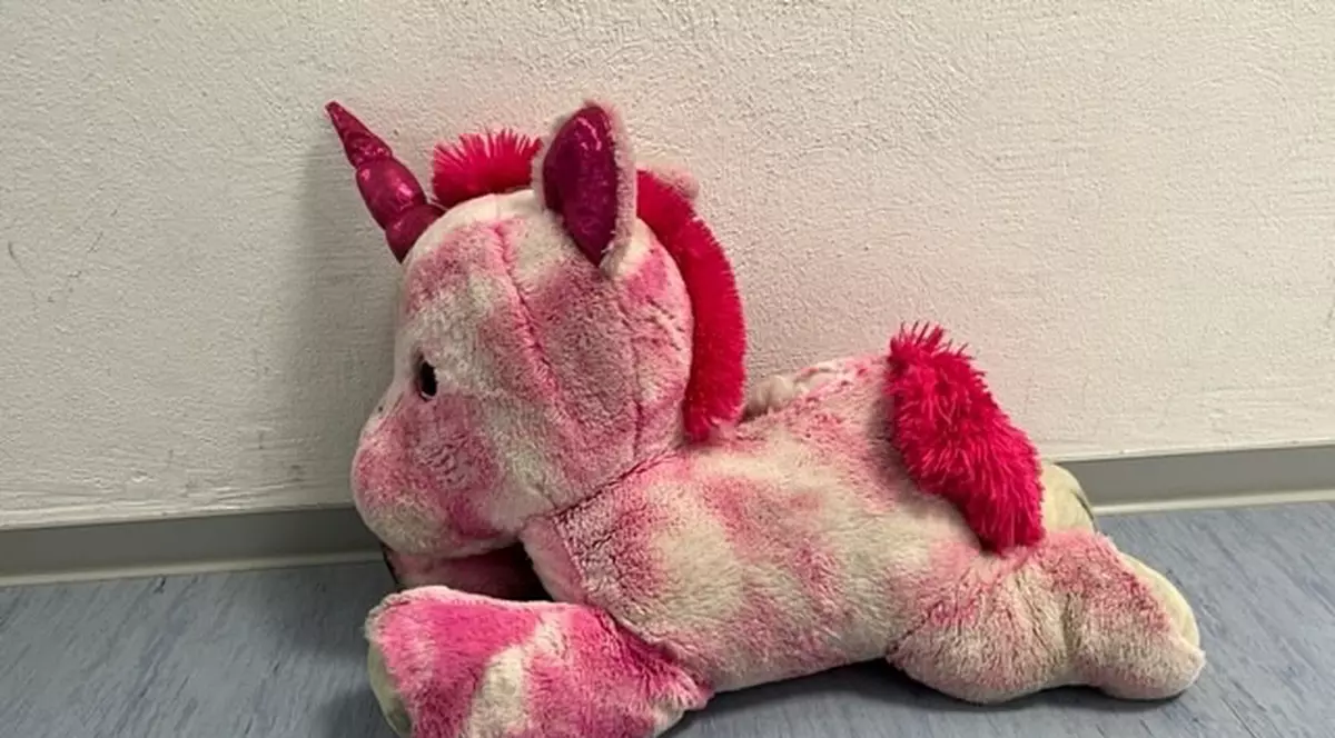Poliția germană, după ce a găsit o jucărie de pluș pe mijlocul autostrăzii: „Acest unicorn trist își caută proprietarul”