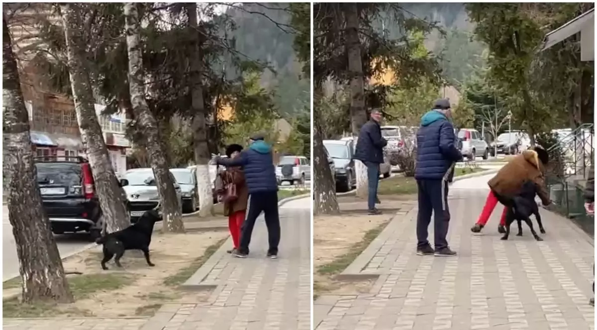 Femeie atacată și trântită la pământ de un câine, la Nehoiu. Trecătorii nu au intervenit. VIDEO