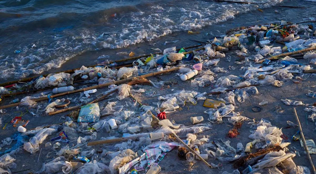 Cantitatea de plastic din oceane s-ar putea tripla până în 2040 în lipsa unor măsuri suplimentare - studiu