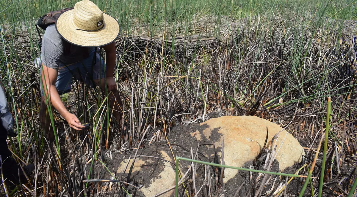 O nouă statuie moai, descoperită într-un crater vulcanic de pe Insula Paștelui
