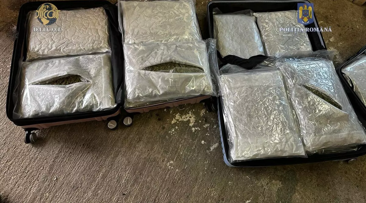 Un tânăr a trimis prin curier zeci de kilograme de canabis, din Spania în Timișoara. Prins în flagrant când le ridica