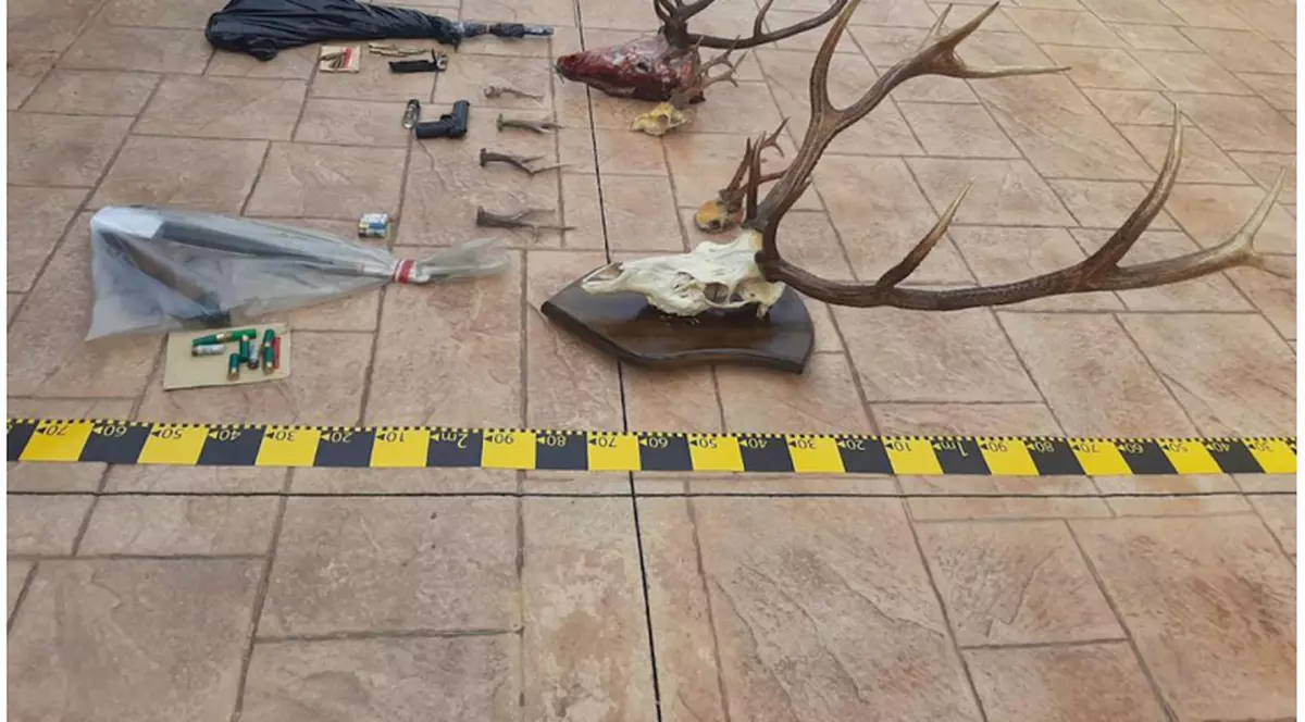 Peste cinci tone de carne de vânat și 197 de trofee, confiscate de la braconieri. 566 de persoane sunt cercetate