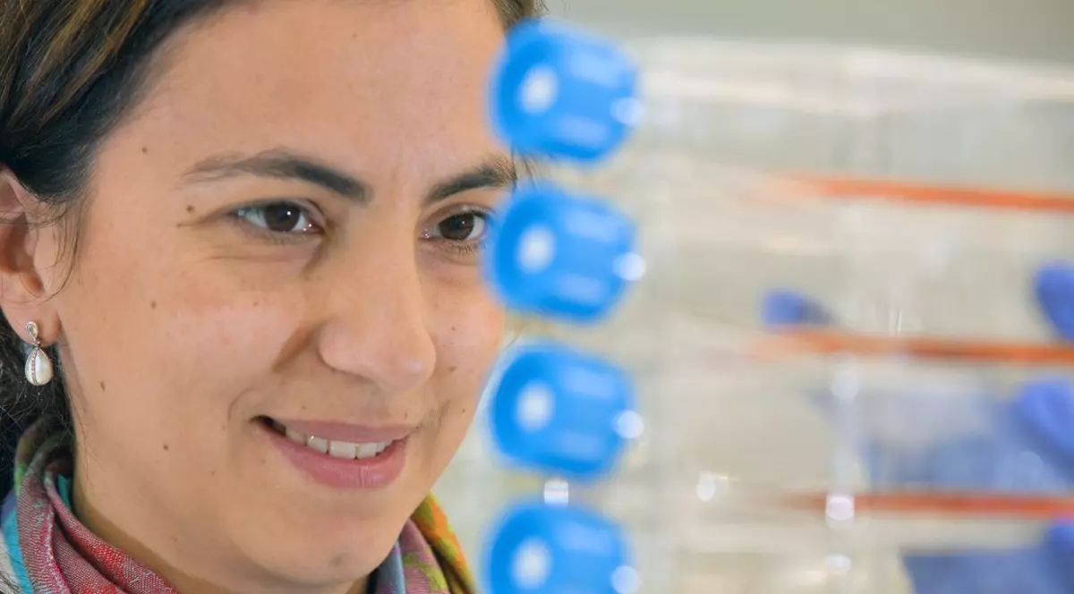 Daniela Bota, în laboratorul facultății din Irvine, unde este vicedecan pentru cercetare