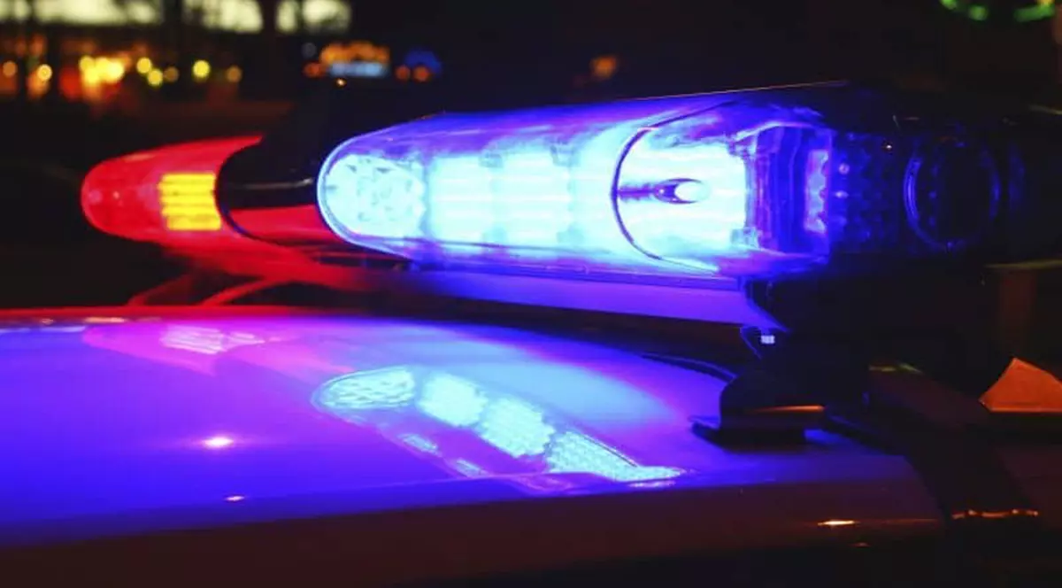 VIDEO Bătaie între mai mulți polițiști, la ziua unui șef de post, în Bihor. Primar: „Au fost şi victime colaterale, cei ce s-au băgat să-i despartă”