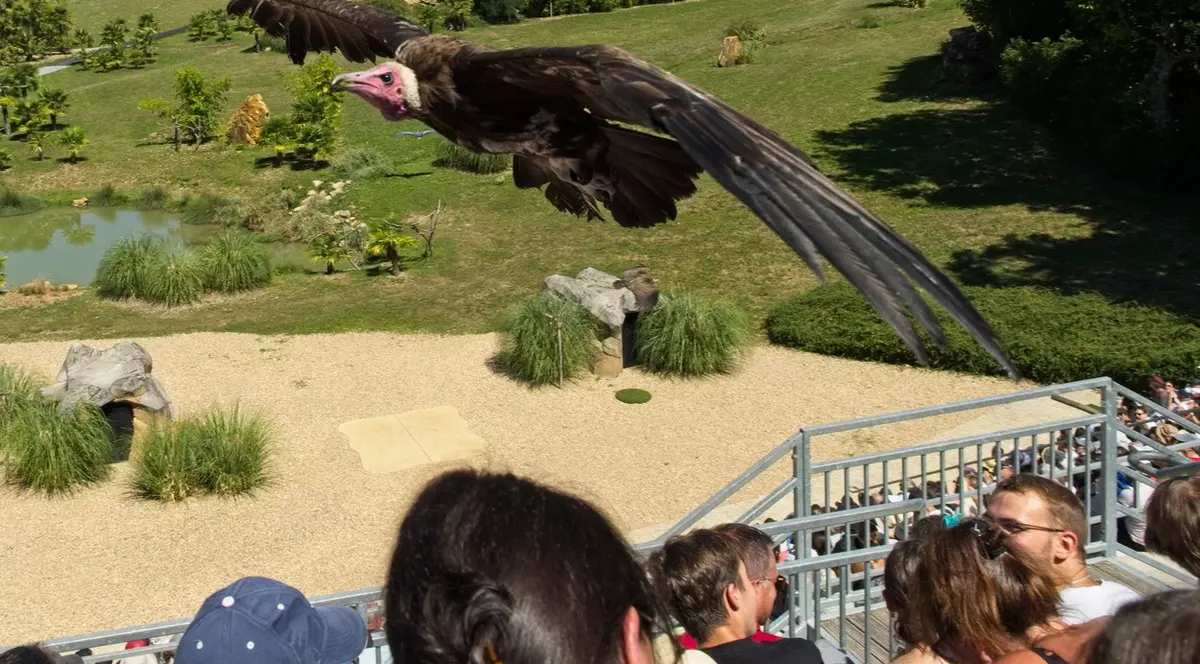 Cea mai mare volieră din Europa, inaugurată de o grădină zoologică din Franța. Cum arată uriașa cușcă cu păsări exotice