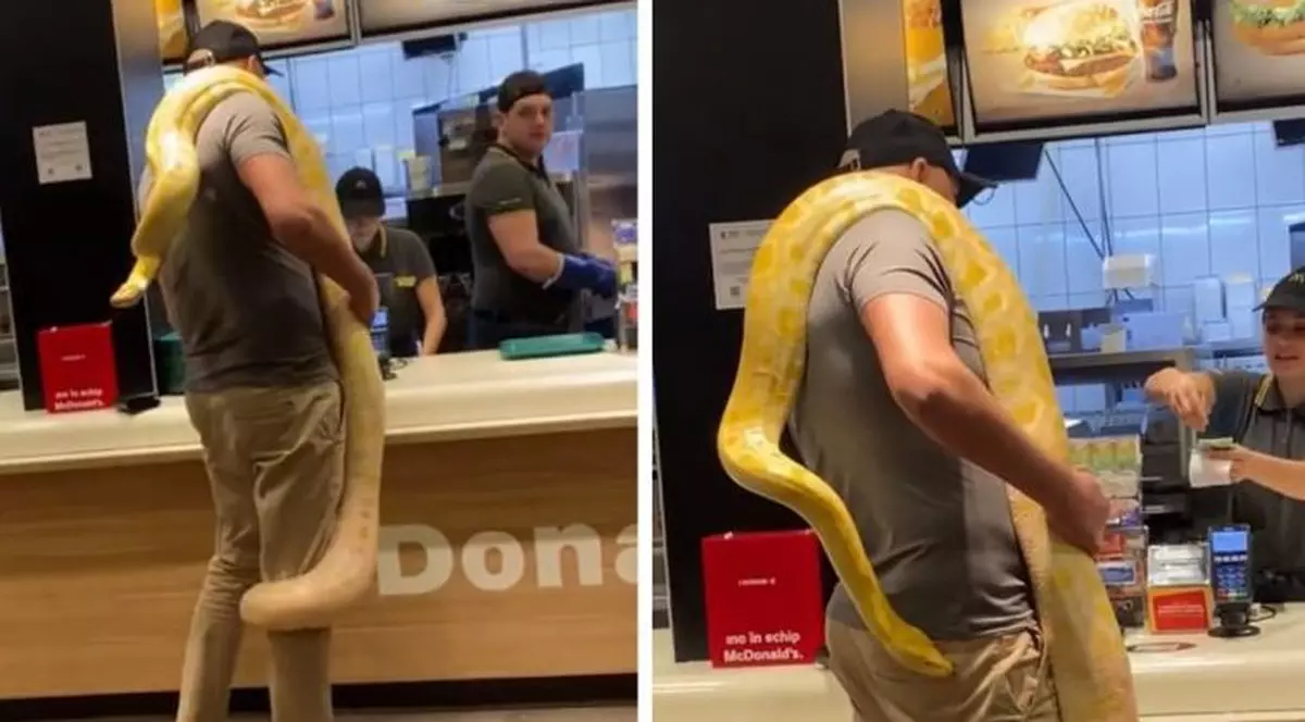 Imagini cu un bărbat care s-a dus la un fast-food din Tg. Mureș cu un piton uriaș înfășurat în jurul gâtului. Reacția poliției