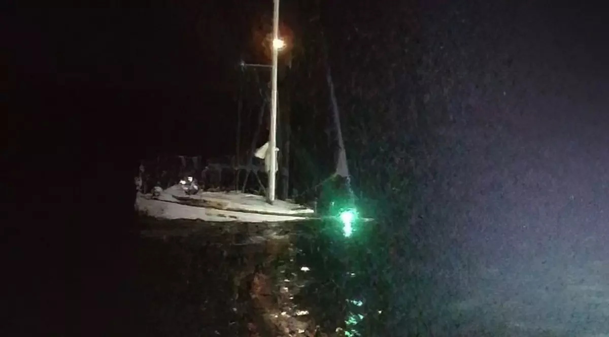Trei orci au atacat un vas elvețian și l-au scufundat, în largul coastelor Gibraltarului. Echipajul a fost salvat de Garda de Coastă