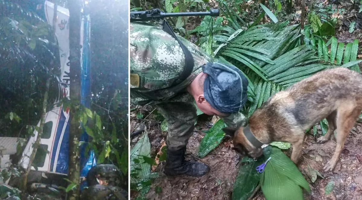 Cei patru copii din avionul prăbușit acum 17 zile în jungla din Columbia, găsiți în viață, anunță președintele țării. A șters apoi mesajul