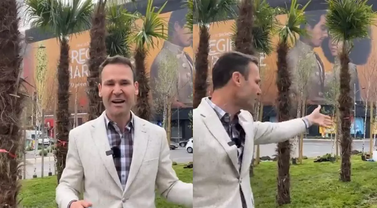 Negoiță a pus palmieri și la Piața Unirii, nu doar pe podul neterminat. „Şi da, costă 2 lei, adică costă foarte puțin, până într-o 1.000 de lei bucata, cu transport și TVA inclus”