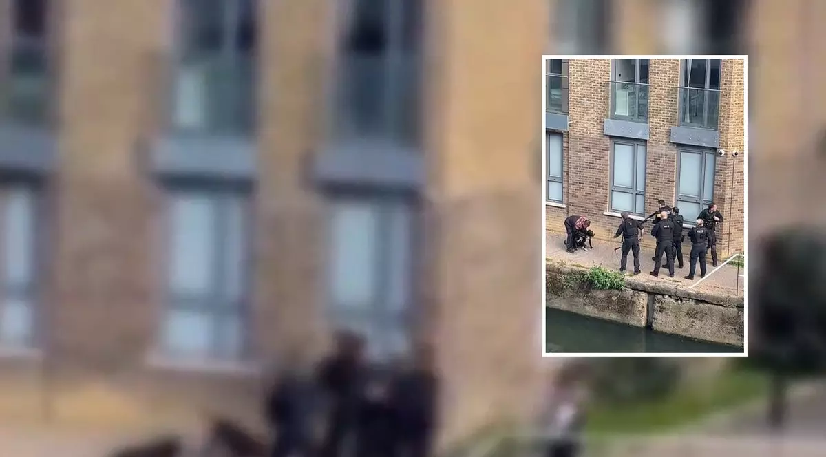 Șase polițiști au fost filmați când împușcă mortal doi câini agresivi, la Londra, după ce l-au electrocutat pe stăpânul lor